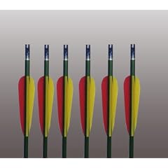 6 Pfeile 30" f�r Compound / Recurve Bogen - Aluminium