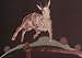 Bluejeans & Moonbeams [12 inch Analog]