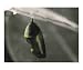 Monarch Butterfly Chrysalis Still Life Photographic Poster Print by Linda Waltenberger, 10x8