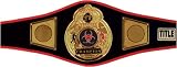 MMA Championship Title Belt