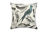 IMAGE OF Thomas Paul Ornithology Bird 100-Percent Linen Pillow, 22 by 22-Inch