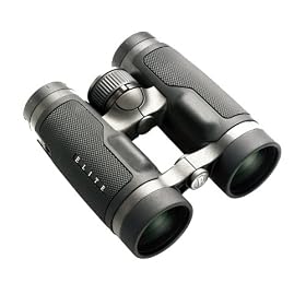Bushnell Elite 8 x 43 Binocular