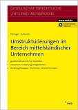 Produkt-Bild: Umstrukturierungen im Bereich mittelst&auml;ndischer Unternehmen

Gesellschaftsrechtlicher &Uuml;berblick. Steuerliche Gestaltungsm&ouml;glichkeiten. Beratungshinweise, Checklisten, Musterformulare.