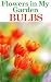 Flowers in My Garden - Bulbs (Gardening Tips - Flowers in My Garden)