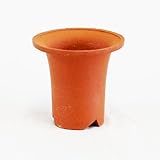 長生らん鉢・赤 3号 ／植木鉢