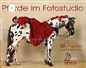 Pferde im Fotostudio