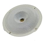 DC GOLD AUDIO N5C 5-1/4" Classic Series Speakers White 8 OHM