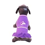NCAA Washington Huskies Cheerleader Dog Dress (Team Color, X-Small)