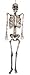 Paper Magic Group Spooky Home Decor, Full Sized Plastic Skeleton, 6' Tall