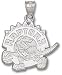 Toronto Raptors Sterling Silver Pendant
