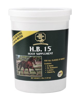 Protein Supplement