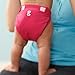gDiapers Goddess Pink gPants, Large (22-36 lbs)