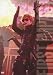1st Impact [DVD]
