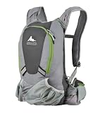 Gregory Rufous Active Trail Backpack