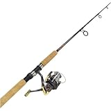 CAPTIVA 6000 9'2PC MH SPN CMBO
