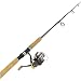 Penn 9-ft Captiva 6000 Spinning Combo