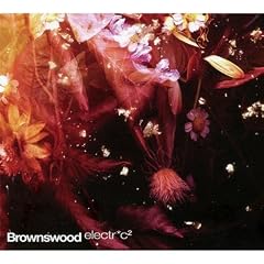 Brownswood Electric 2