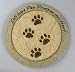 Cats Leave Paw Prints Stepping Stone