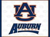 Tailgate Pad Auburn Flexible Chopping Mats Set of 2