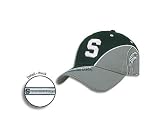 Michigan State Avalanche
