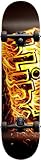 Blind OG Fire Complete Skateboard, 7.7-Inch