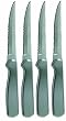 Ginsu 4 Piece Stainless Steak Knife Set