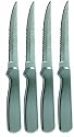 Ginsu 4 Piece Stainless Steak Knife Set