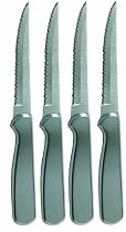 Ginsu 4 Piece Stainless Steak Knife Set