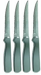 Ginsu 4 Piece Stainless Steak Knife Set