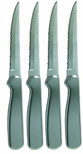 Ginsu 4 Piece Stainless Steak Knife Set