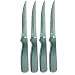 Ginsu 4 Piece Stainless Steak Knife Set