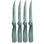 Ginsu 4874 4-Piece Stainless Steak Knife Set by Ginsu