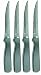 Ginsu 4 Piece Stainless Steak Knife Set