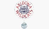 Arizona Wildcats Fan Wave