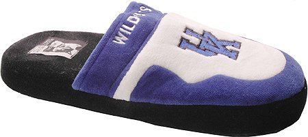 Kentucky Wildcats Scuff SM
