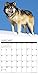 2016 Spirit of the Wolf Wall Calendar