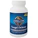 Garden of Life - Fungal Defense, 84 caplets