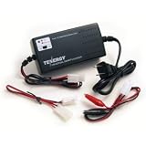 Tenergy Universal Smart Charger for NiMH NiCd Battery Packs (6V - 12V) Perfect for RC or...