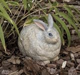 Evergreen 84974 Garden Portly, Rabbit, 6-Inches x 7.5-Inches