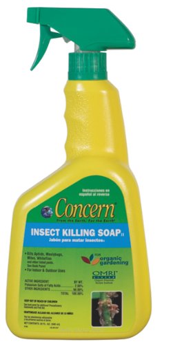Concern Insect Soap 32 Oz Rtu Model 99132 Pack of 12