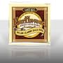 Ernie Ball 2069 Earthwood Folk Nylon, Clear & Gold Ball End