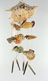 Seashell Wall Art Hanging Bathroom Bedroom Indoor Outdoor