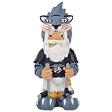 NHL Nashville Predators Team Thematic Gnome