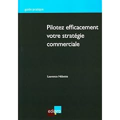 Pilotez efficacement votre strat�gie commerciale : Auditez votre structure et optimisez votre efficacit� commerciale