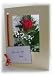 Fresh Flower - Single Red Rose by Post