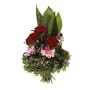Blumenstrau� 'Hoher Strau�' Frisch vom Floristen vor Ort mit roten Rosen und Gerbera, gestaffelt gebunden