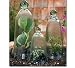 Garden Cloche 3 Pc. Set
