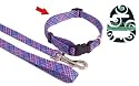 (Wag'n'Walk) Walk-Time Pink/Blue Check Adjustable Dog Collar (Medium)