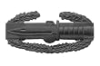 Combat Action Badge