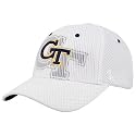Zephyr Georgia Tech Yellow Jackets White Double Logo Flex-Fit Hat